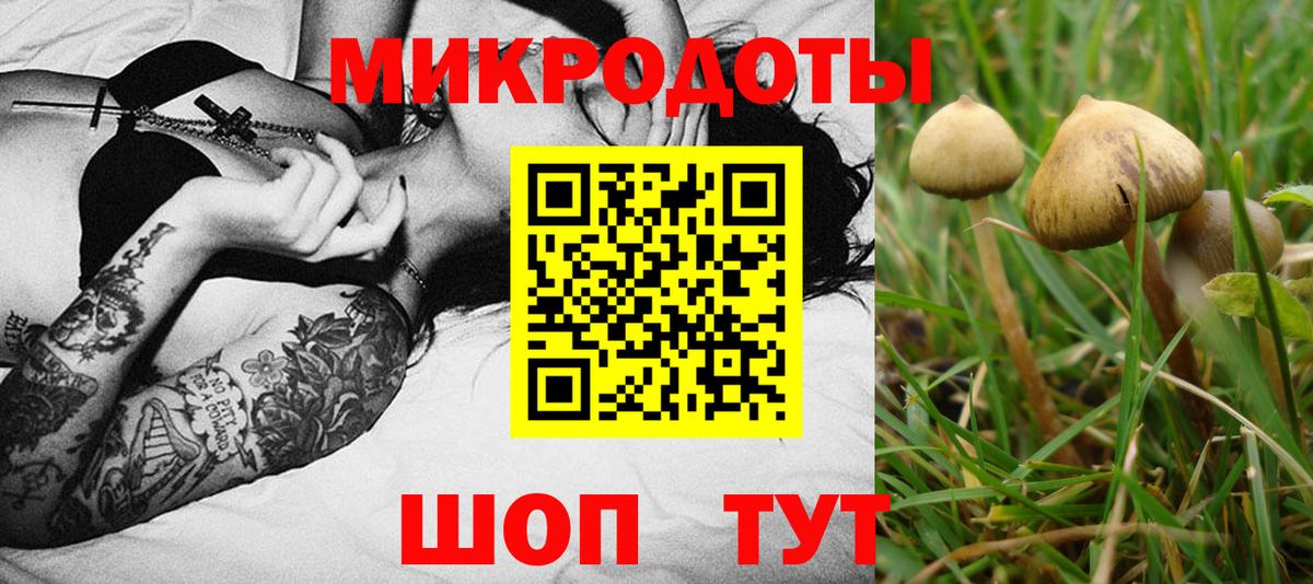 Кумертау  Галлюциногенные грибы Psilocybine cubensis  Вход с VPN 