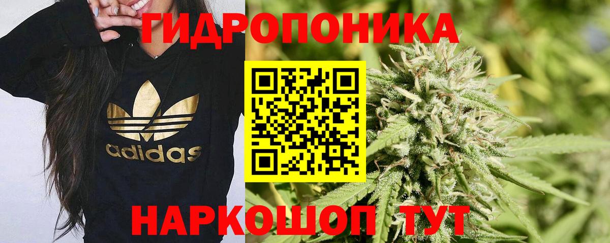 Бошки марихуана THC 21%  Марихуана тримм  Кумертау  Марихуана LSD WEED  Конопля план  Вход с VPN 